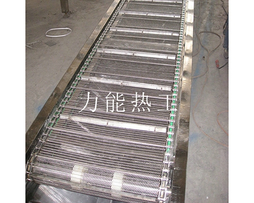 上海链网输送机