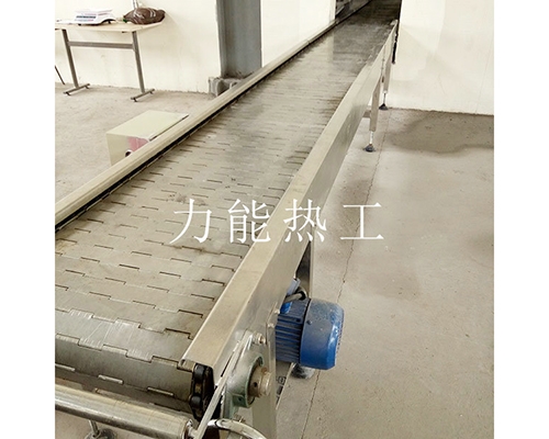 上海链板输送机
