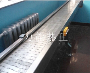 上海链板输送机