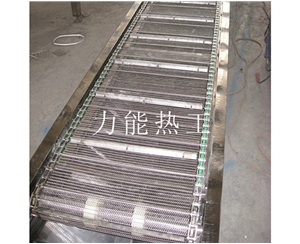 上海链网输送机