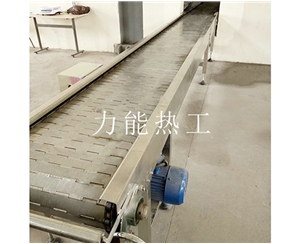 上海链板输送机